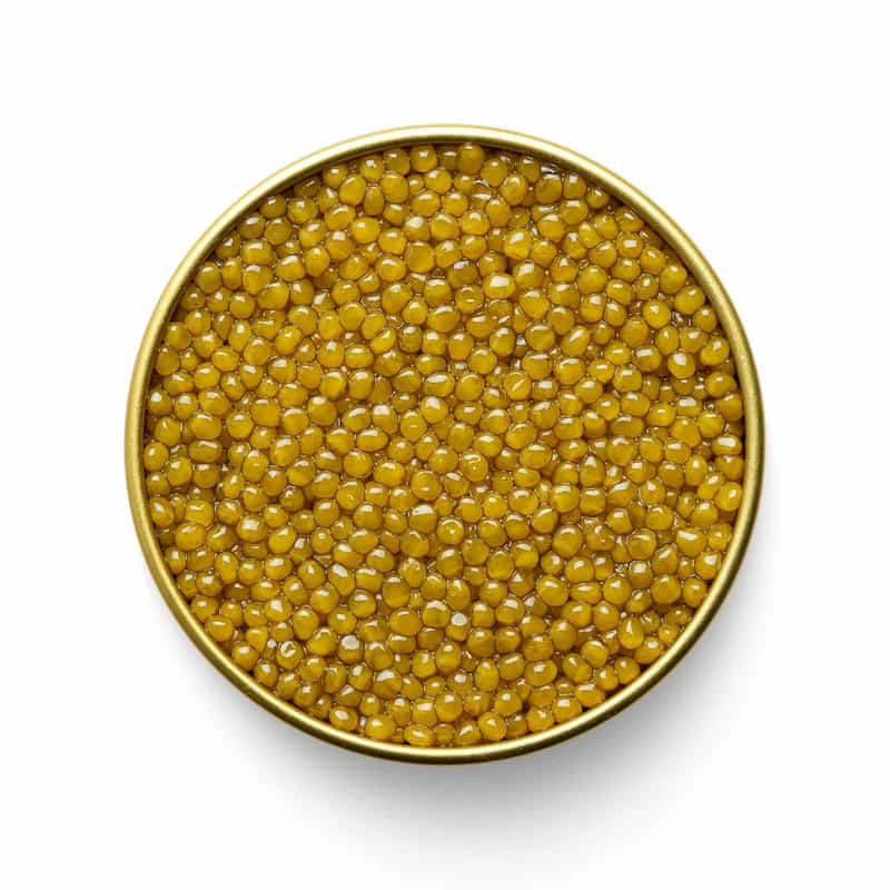 خاویار بلوگا ۵۰ گرمی بسته ای کاربردی برای مشتریان خاص و لوکس